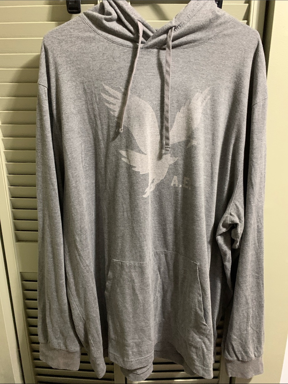 American Eagle Outfitters Light Gray Long Sleeve T-Shirt Hoodie with Eagle Graph